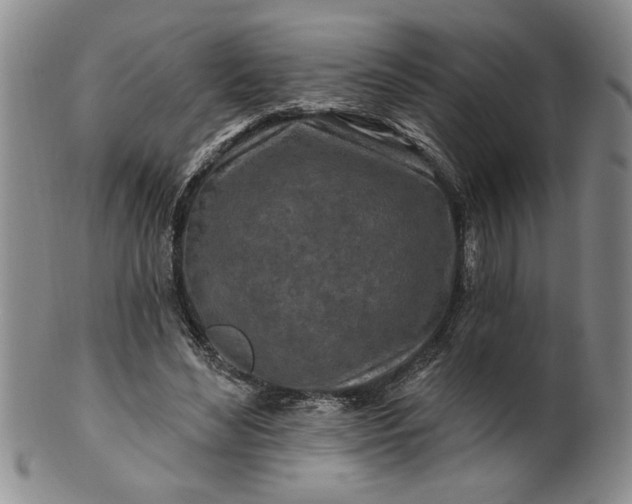 X0000100970492200807081223