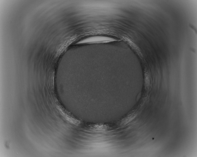 X0000100970493200807081223