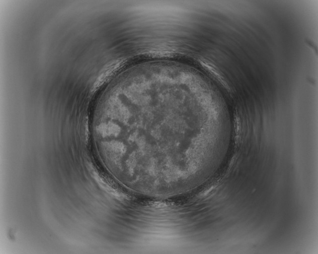 X0000100970494200807081223