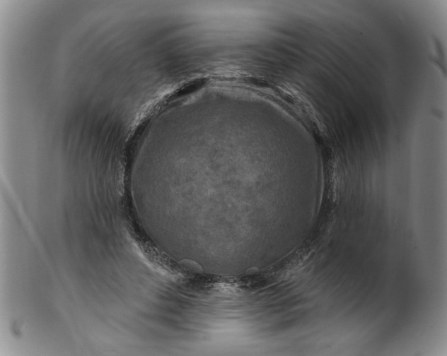 X0000100970496200807081223