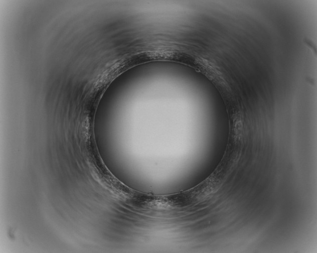 X0000100970498200807081223