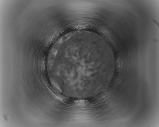 X0000100970499200807081223