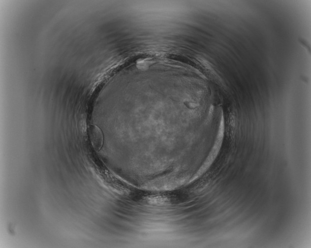 X0000100970500200807081223