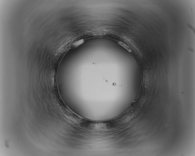 X0000100970501200807081223