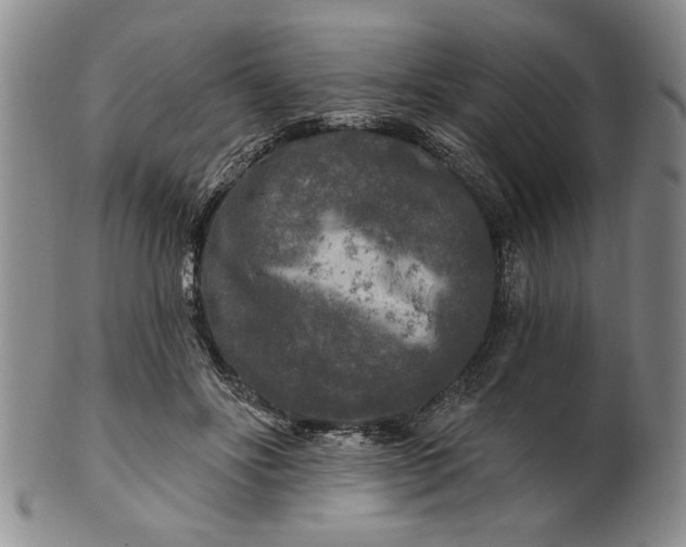 X0000100970502200807081223