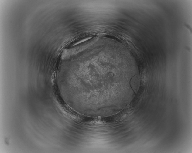 X0000100970503200807081223