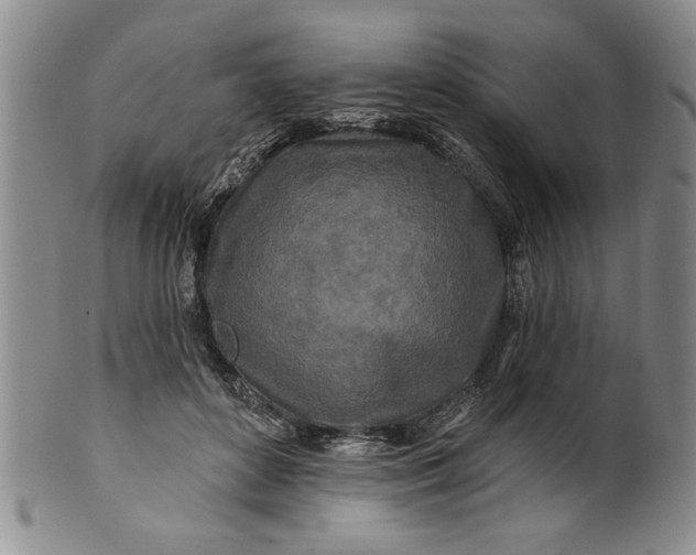 X0000100970504200807081223