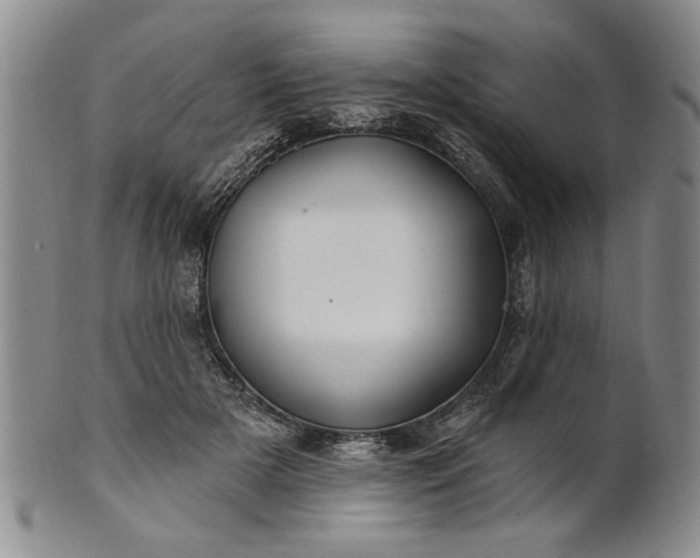 X0000100970505200807081223