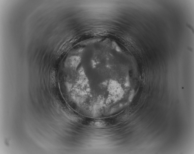 X0000100970506200807081223