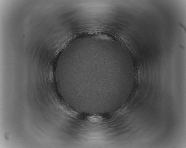 X0000100970508200807081223
