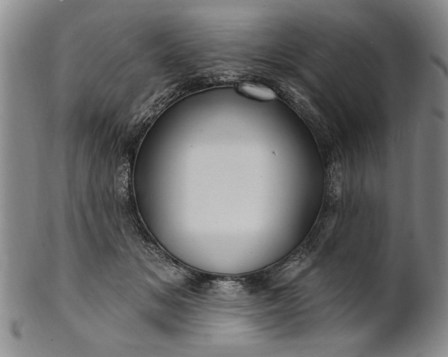 X0000100970509200807081223