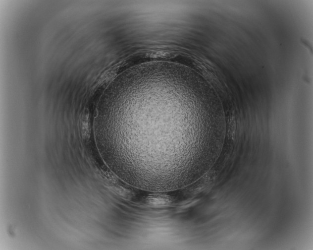 X0000100970510200807081223