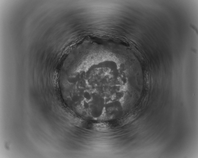 X0000100970511200807081223