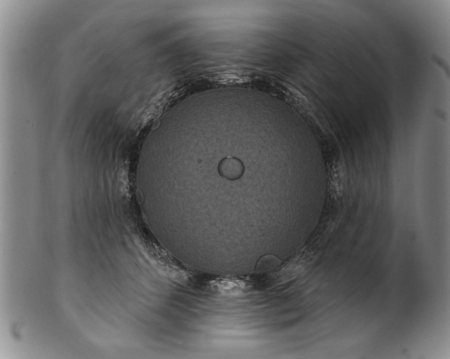 X0000100970512200807081222