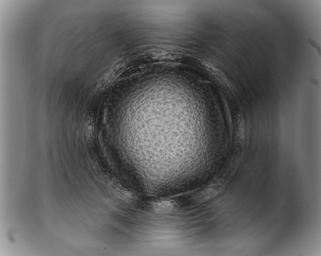 X0000100970513200807081222