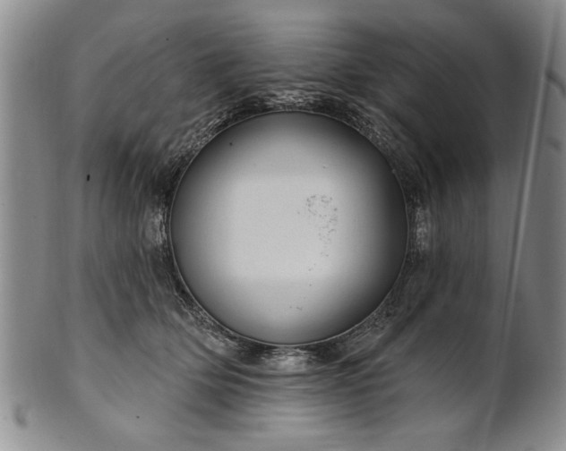 X0000100970514200807081222
