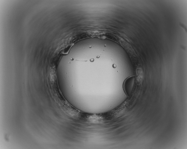 X0000100970515200807081222