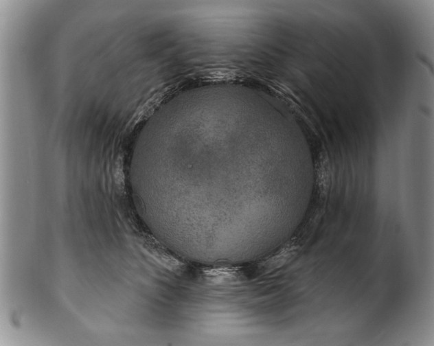X0000100970516200807081222