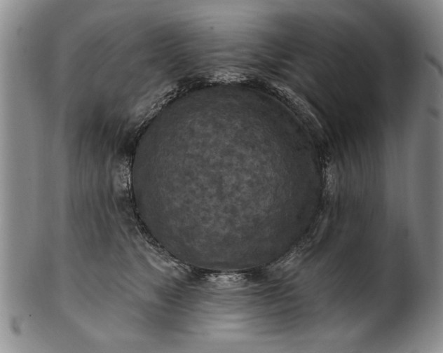 X0000100970517200807081222