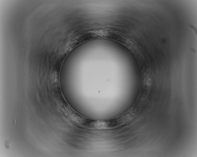 X0000100970518200807081222