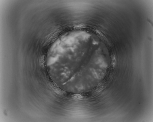 X0000100970519200807081222
