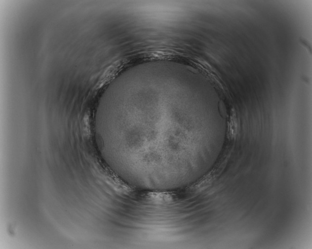 X0000100970520200807081222