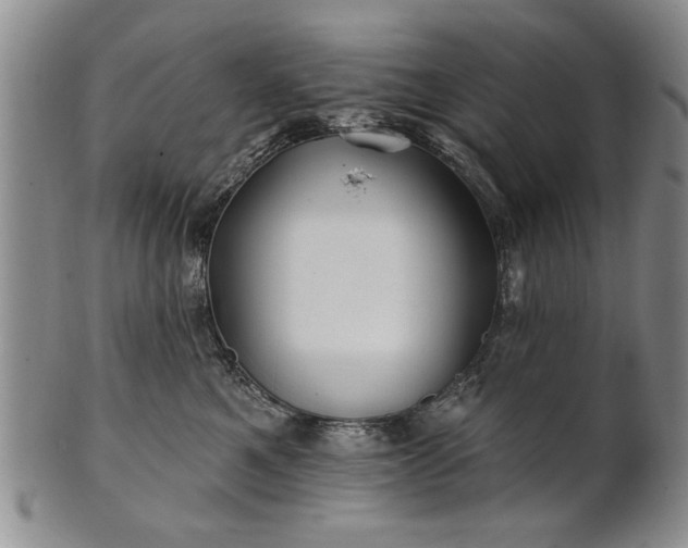 X0000100970521200807081222