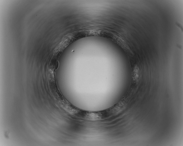 X0000100970522200807081222