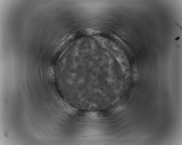X0000100970523200807081222