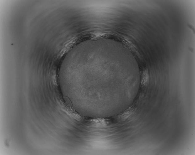 X0000100970524200807081222