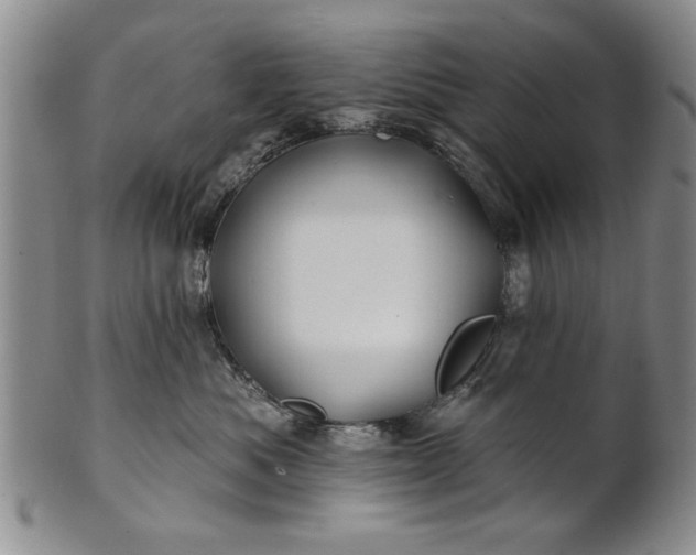 X0000100970525200807081222