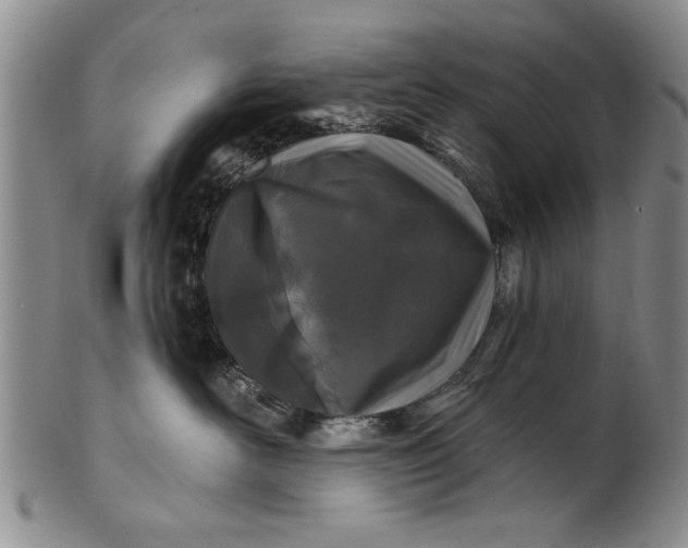 X0000100970526200807081222