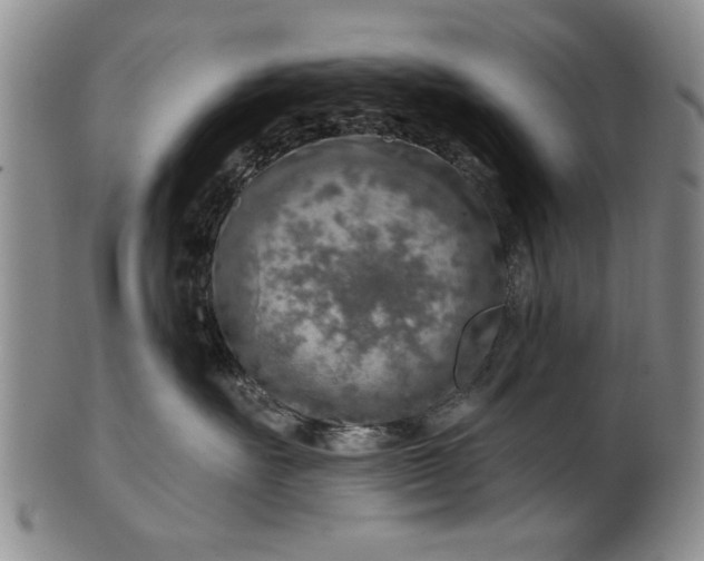 X0000100970527200807081222
