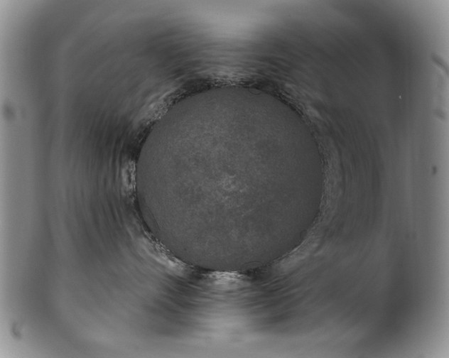 X0000100970528200807081222