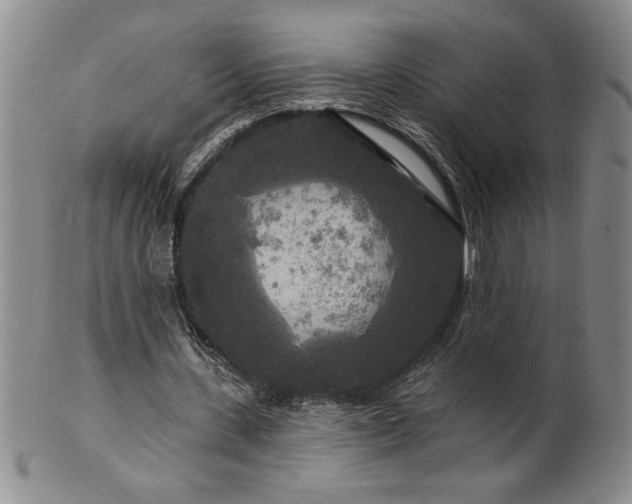 X0000100970531200807081222