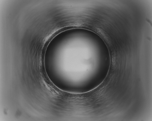 X0000100970532200807081222