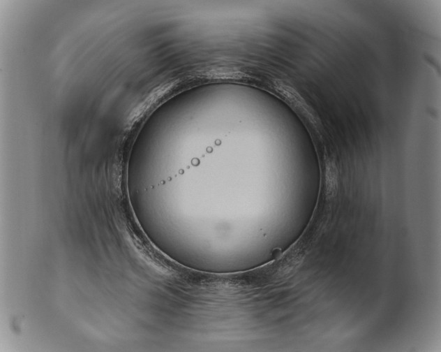 X0000100970533200807081222