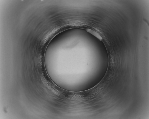 X0000100970535200807081222