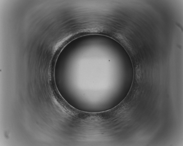 X0000100970536200807081222