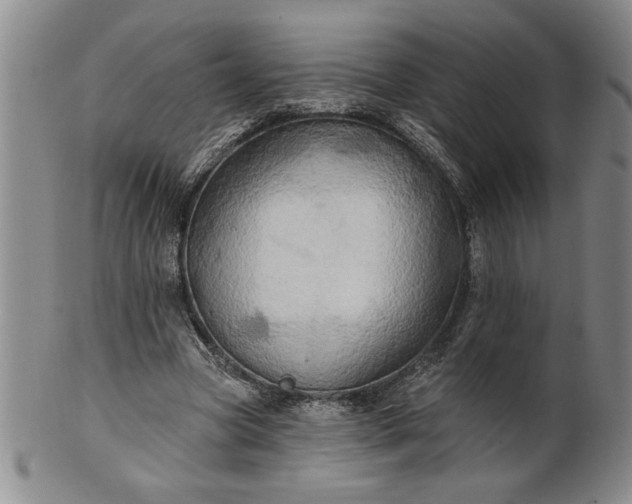 X0000100970537200807081222