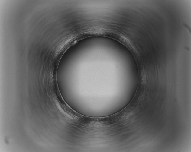 X0000100970538200807081222