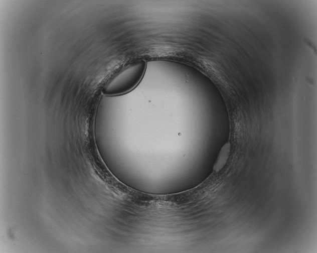 X0000100970539200807081222