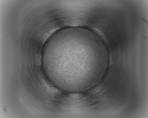 X0000100970540200807081222