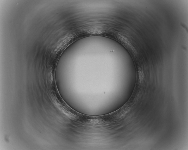 X0000100970541200807081222