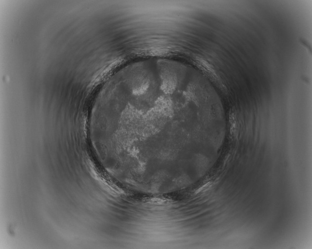 X0000100970542200807081222