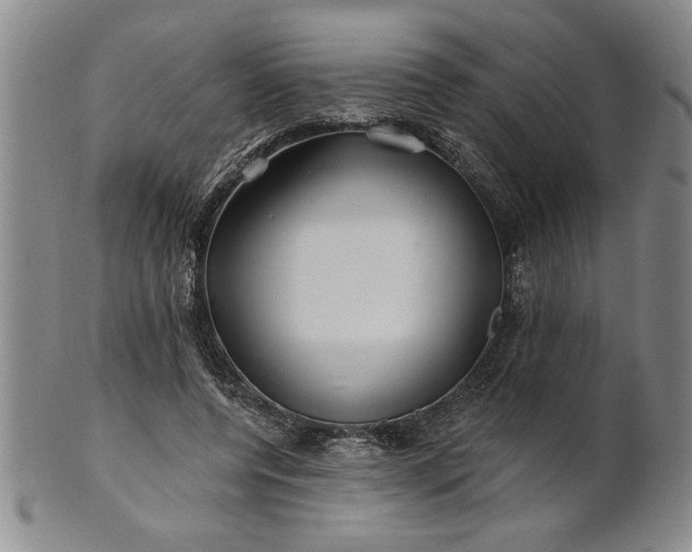 X0000100970544200807081222