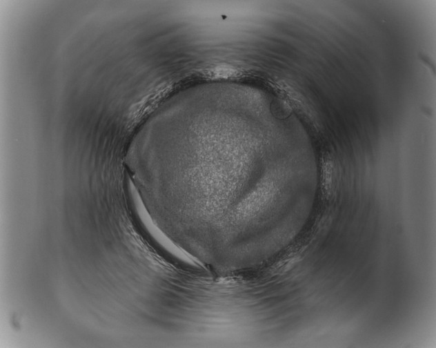 X0000100970545200807081222