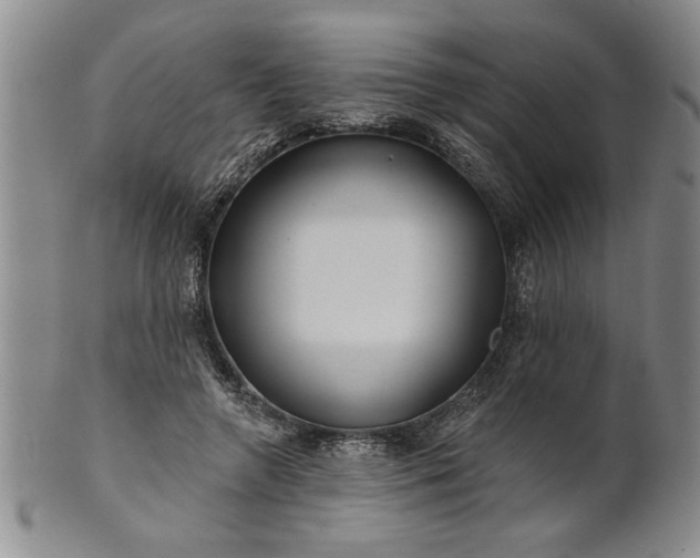 X0000100970546200807081222
