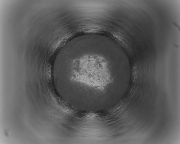 X0000100970547200807081222