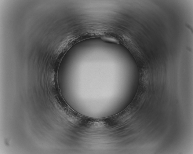 X0000100970548200807081222